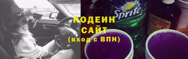 сатива Покачи