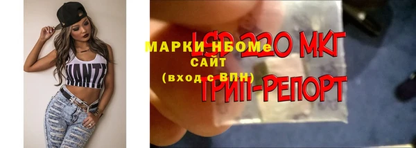 шишки Беломорск