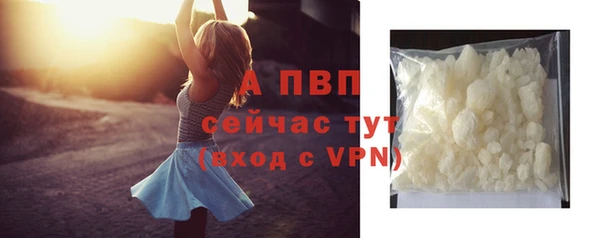 шишки Беломорск