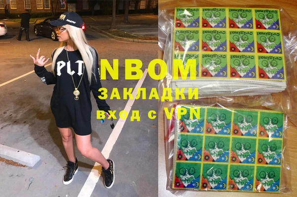 сатива Покачи