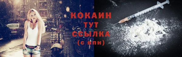 шишки Беломорск