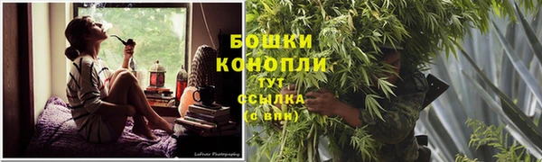 шишки Беломорск