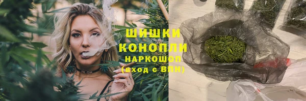 дмт Белокуриха