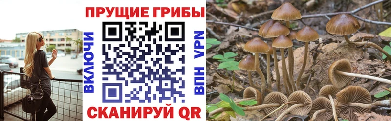купить наркотики сайты  Буинск  Галлюциногенные грибы прущие грибы 
